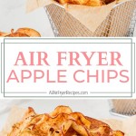 air fryer apple chips long pin