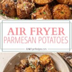 air fryer parmesan potatoes pinterest long pin