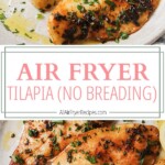 air fryer tilapia pinterest long pin