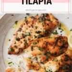 air fryer tilapia pinterest short pin