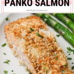 air fryer panko salmon pinterest short pin