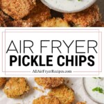 air fryer pickles pinterest long pin old size