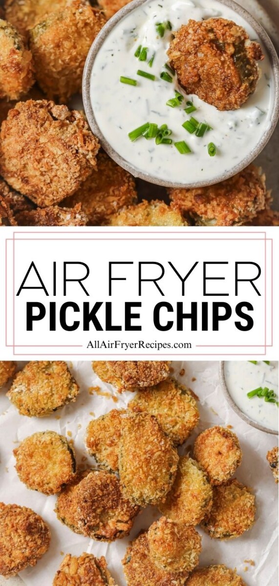 air fryer pickles pinterest long pin.